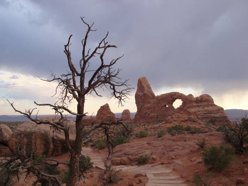 photo 13, Nature Roughness