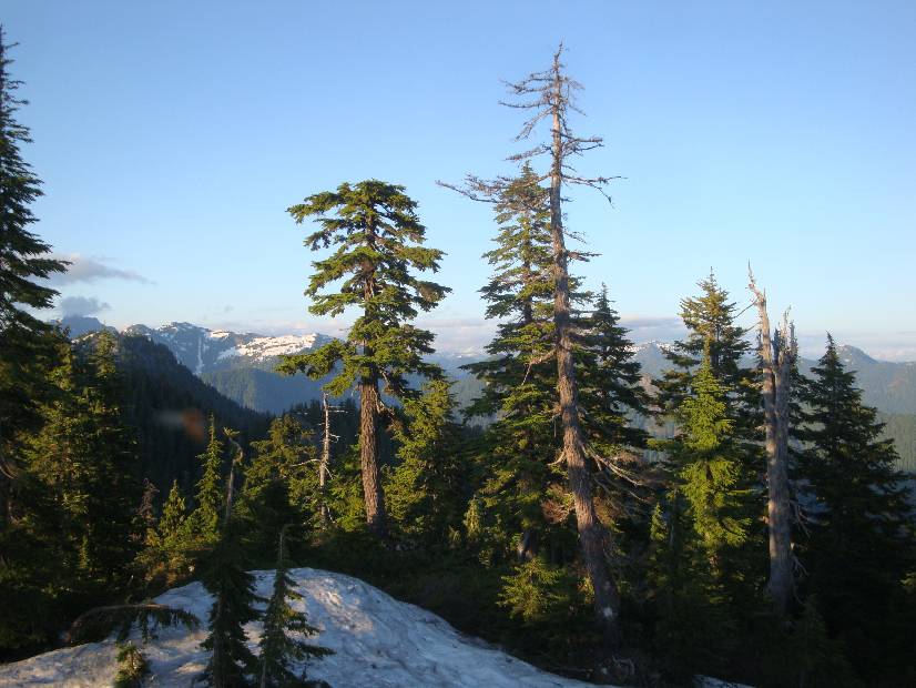 photo 38, Eternal Snow