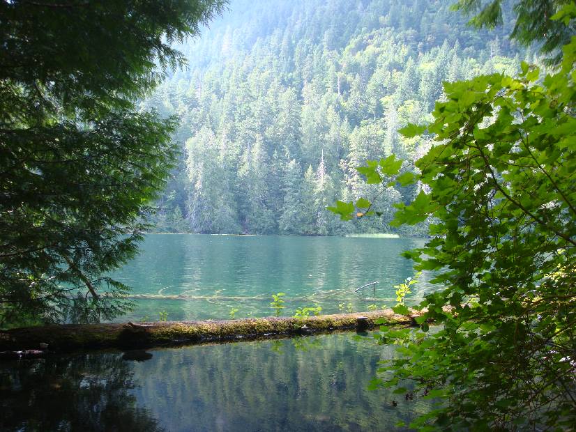 photo 43, Window To The Lake