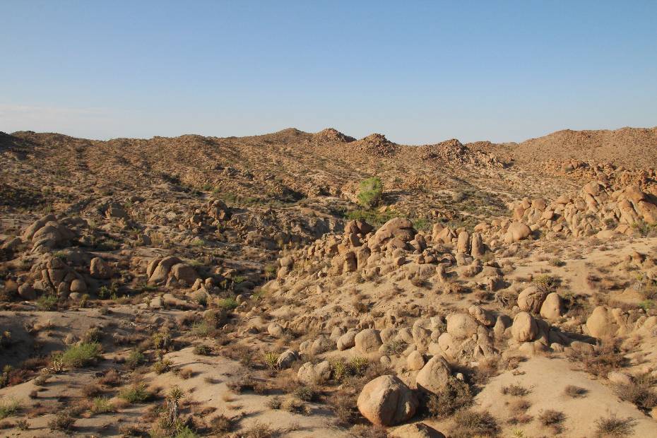 photo 51, Lost In The Desert