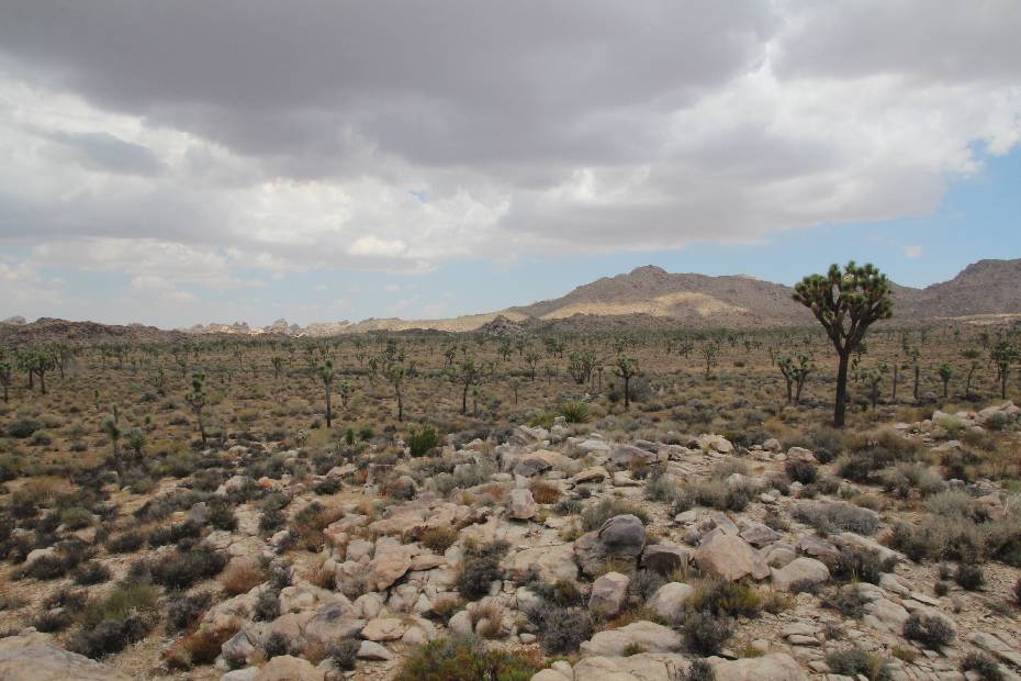 photo 52, Stormy Valley