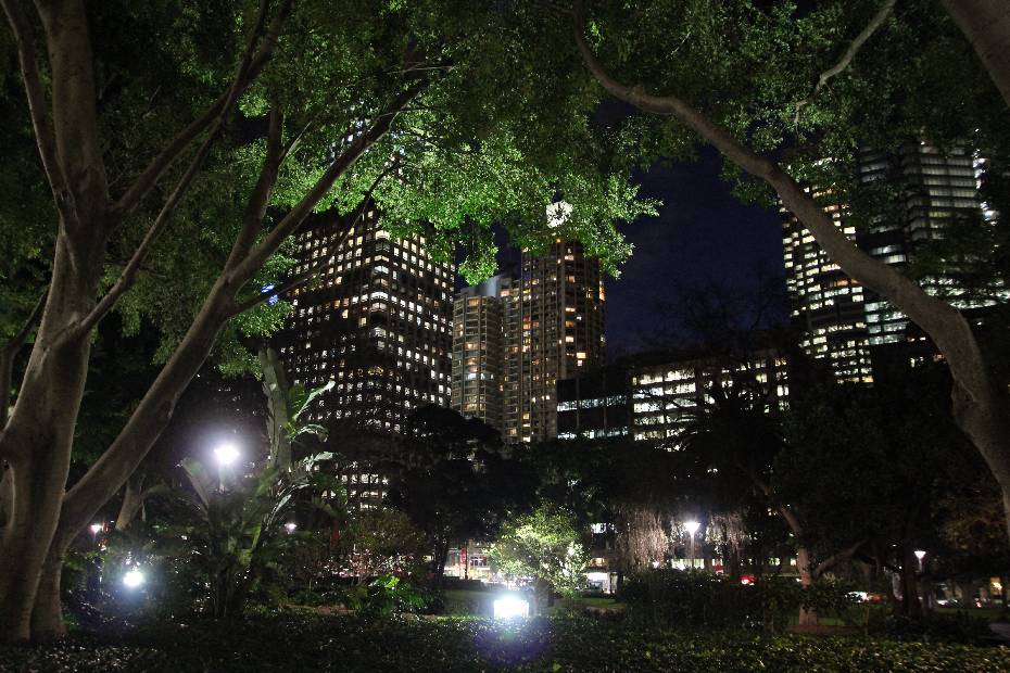 photo 57, Sydney Jungle