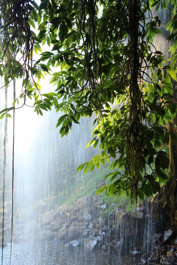 photo 67, Dorrigo fall