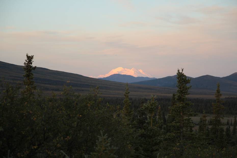 photo 83, Aurora on the Stampede Trail