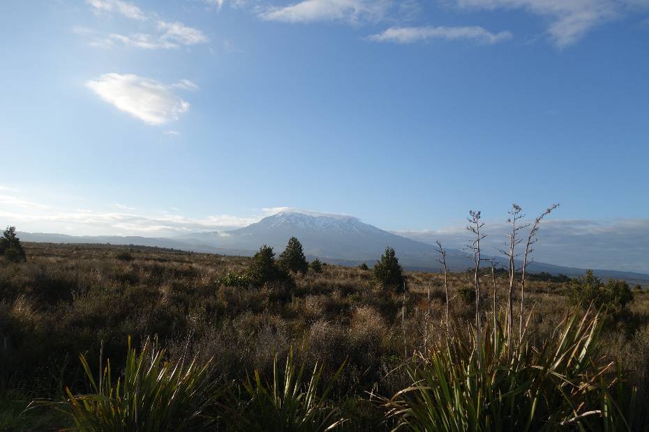 photo 88, Tongariro volcano