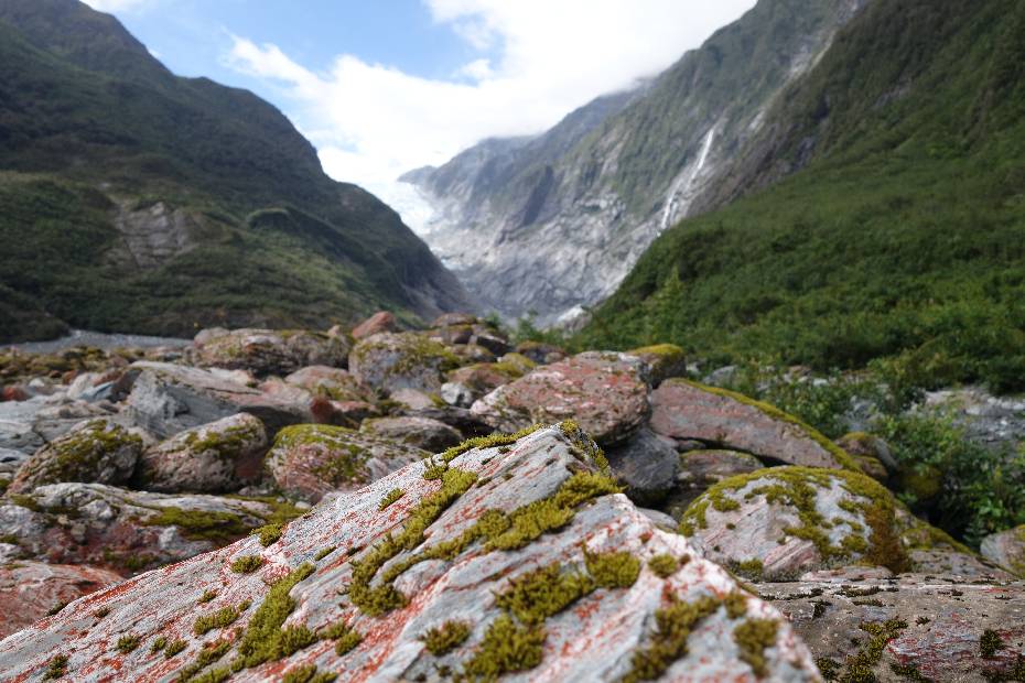 photo 92, Franz Josef Glacier